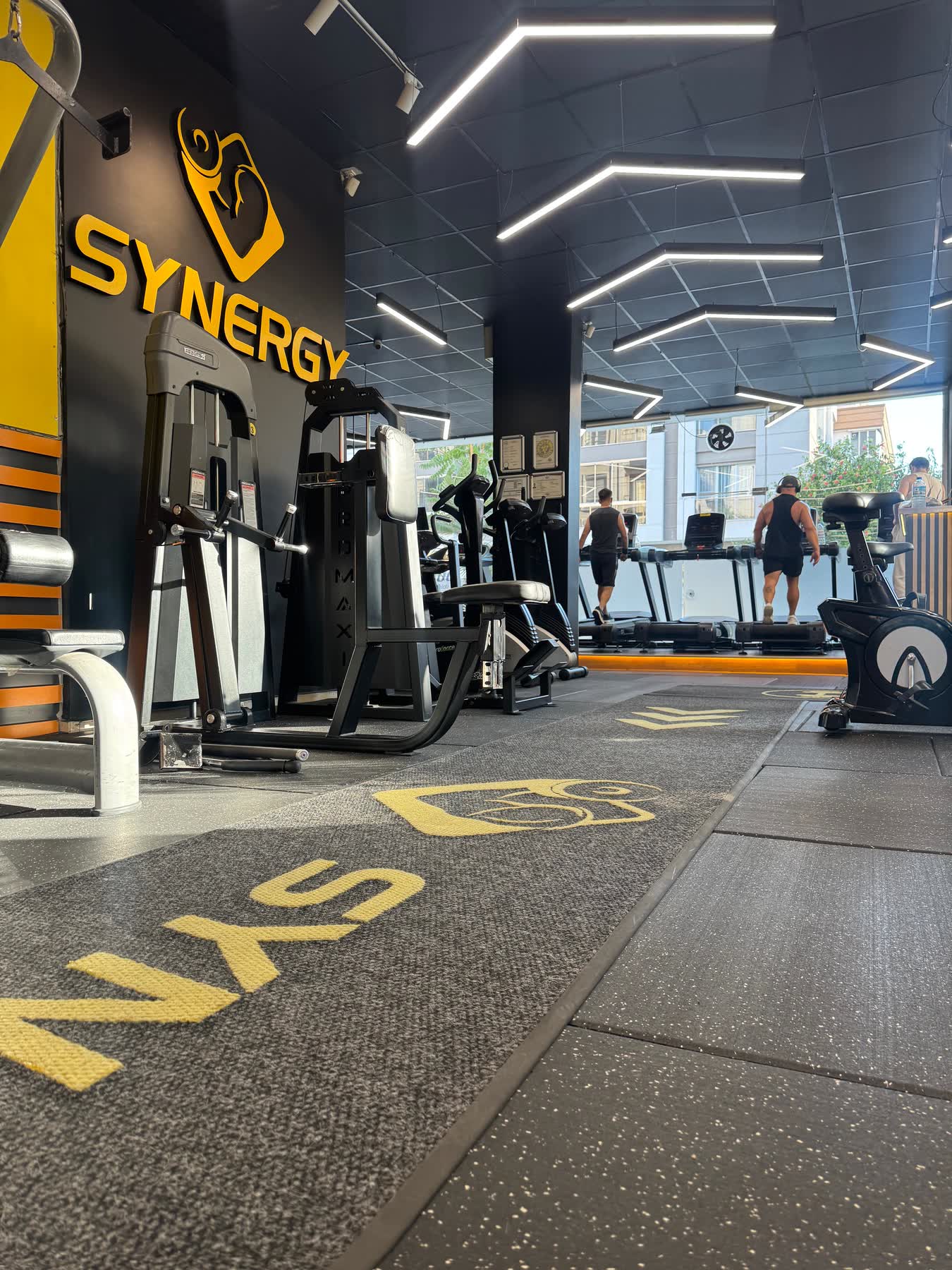 Synergy Fitness ana antrenman alanı