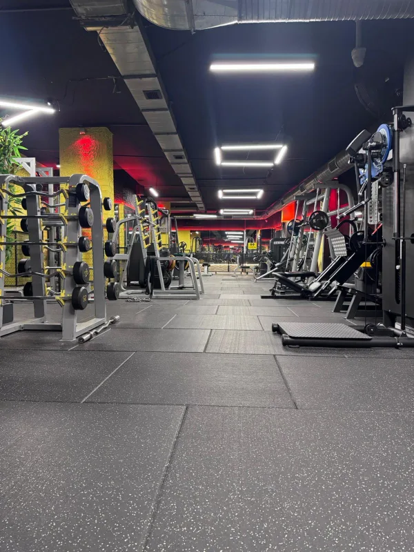 Synergy Fitness alt kat kuvvet istasyonları ve makineler