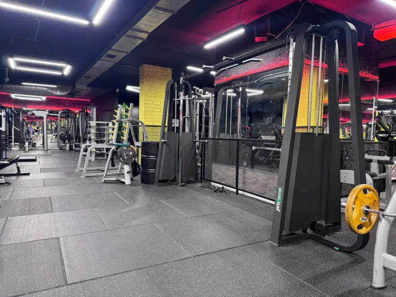 Synergy Fitness alt kat serbest ağırlık ve çalışma alanı