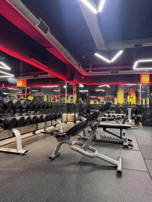 Synergy Fitness alt kat izole kas geliştirme aletleri