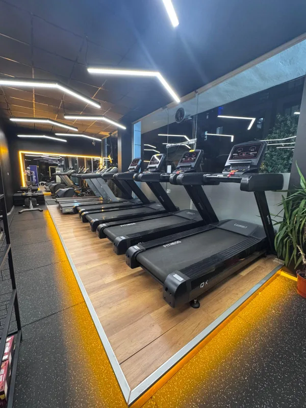 Synergy Fitness Buca üst kat dambıl ve serbest ağırlık sehpaları