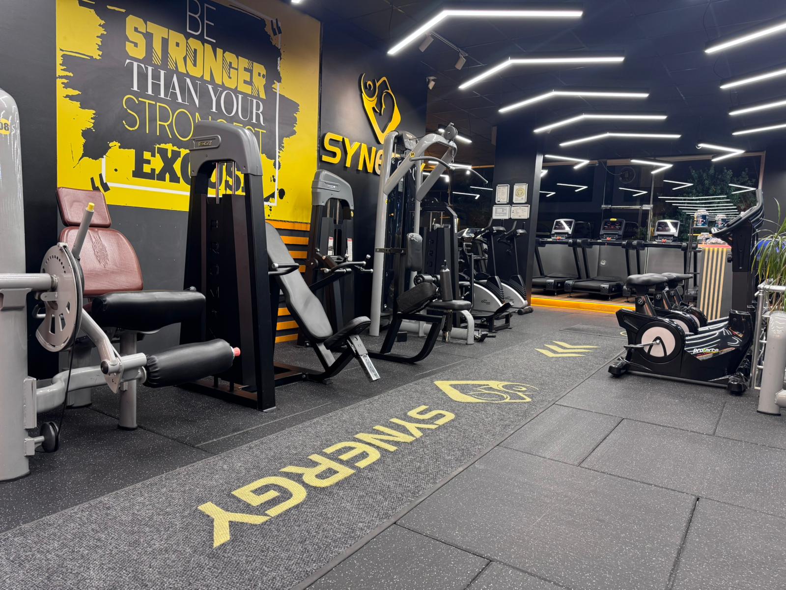 Synergy Fitness Buca Spor Salonu